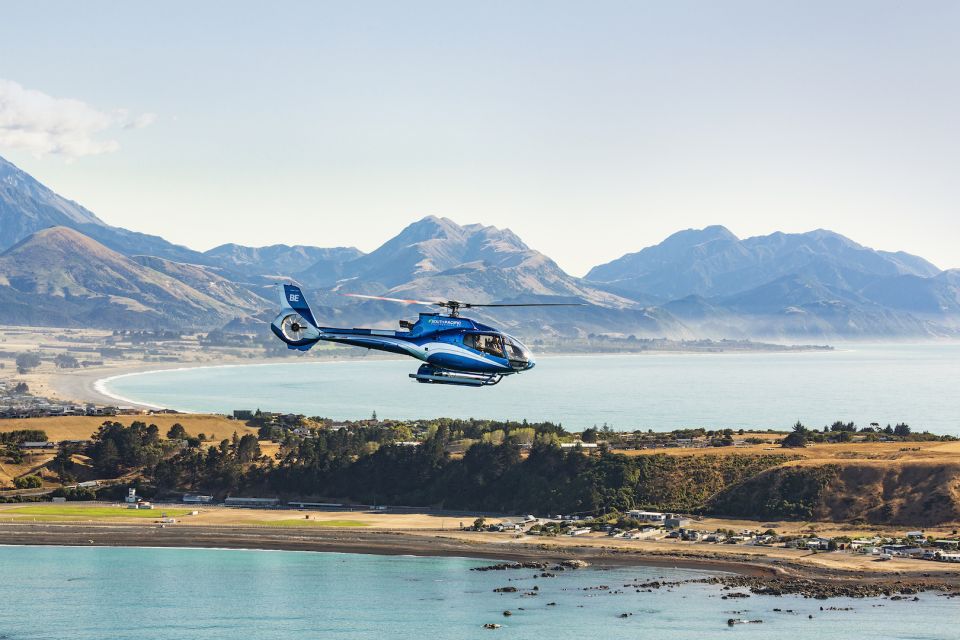 Kaikoura: 1-Hour Whale Watching Helicopter Tour - Accessibility and Cancellation