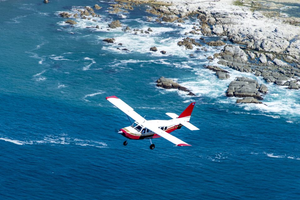 Kaikoura: 40-Minute Whale Watching Flight With Commentary - Important Operational Information