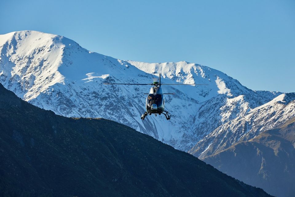 Kaikoura: 45-Minute Whale Watching Helicopter Tour - Booking Information