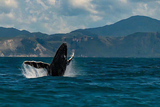Kaikoura Day Tour From Christchurch - Key Points