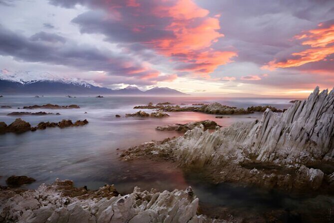Kaikoura Day Tour From Christchurch - A Deep Dive into the Christchurch to Kaikoura Experience