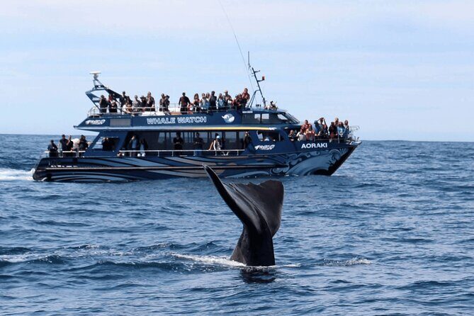 Kaikoura Day Trip including Whale Watch from Christchurch - Introduction