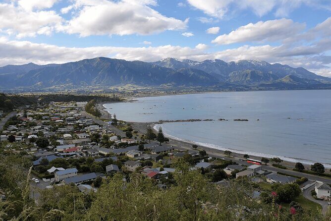 Kaikoura Day Trip including Whale Watch from Christchurch - The Itinerary in Detail