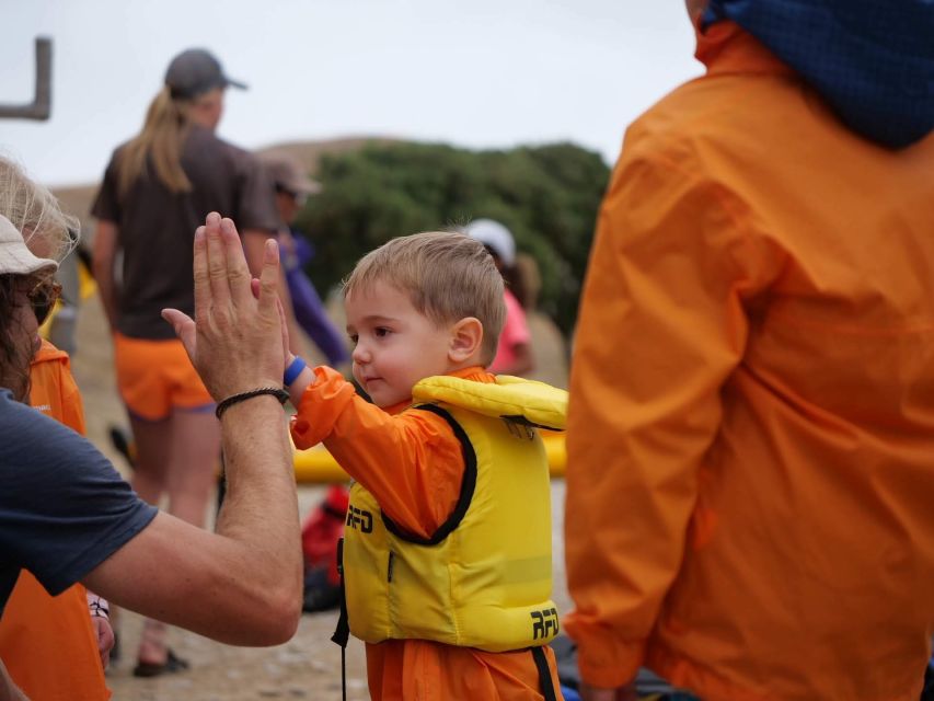 Kaikoura: Guided Family Kayaking Adventure - Booking Information