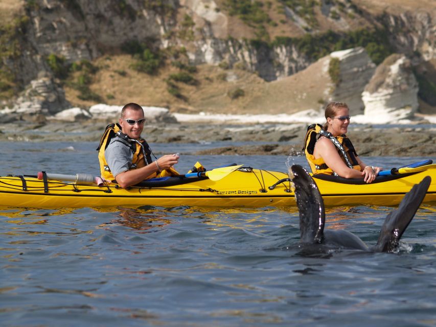 Kaikoura: Half-Day Wildlife Kayaking Tour - Customer Reviews