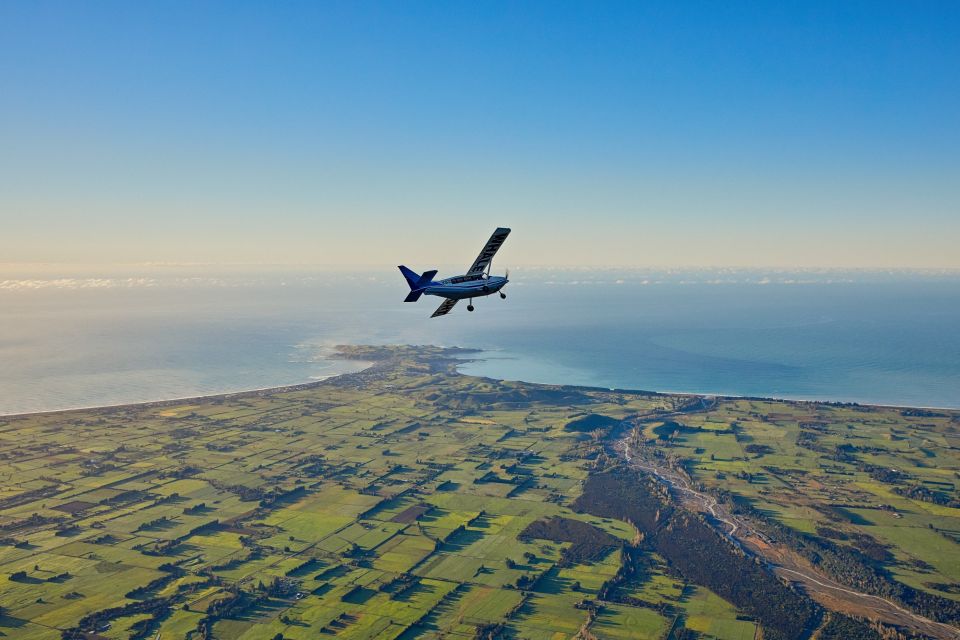 Kaikoura: Premium Whale Watching Flight - Customer Reviews