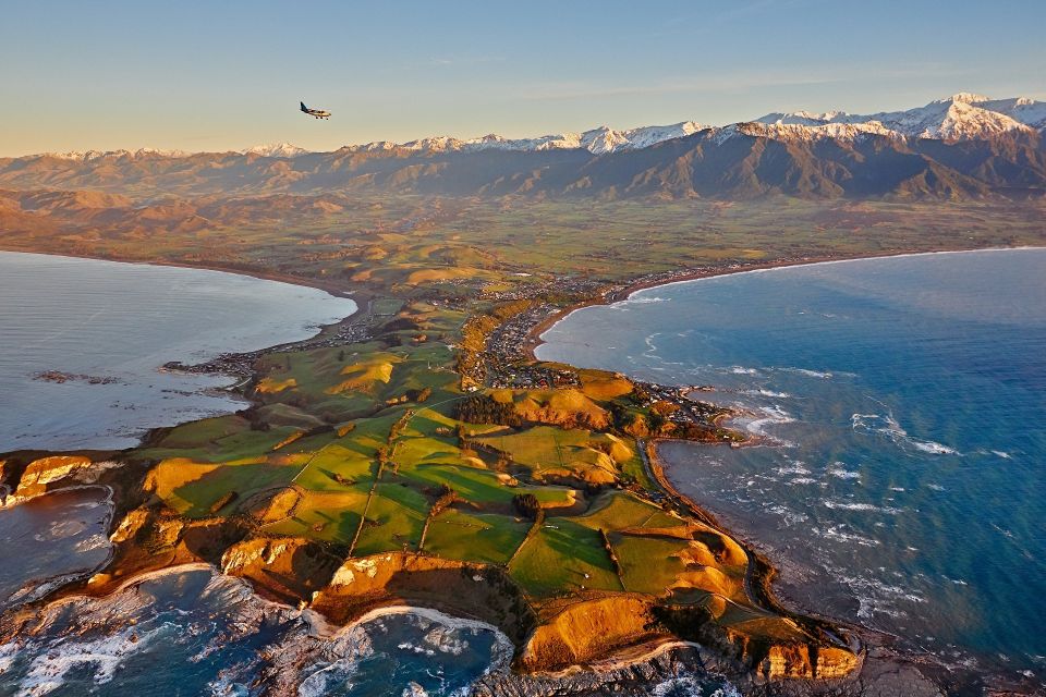 Kaikoura: Premium Whale Watching Flight - Price and Duration
