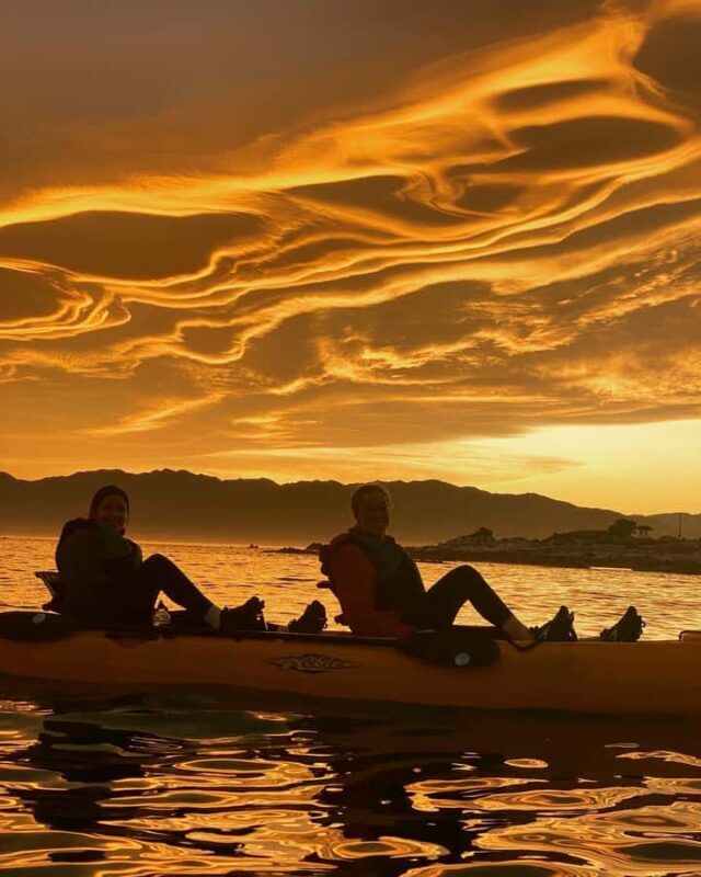 Kaikoura: Private Guided Kayak Tour with Seals - Frequently Asked Questions (FAQs)