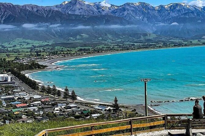 Kaikoura Private Whale Watching Day Trip from Christchurch - An In-Depth Look at the Tour Itinerary