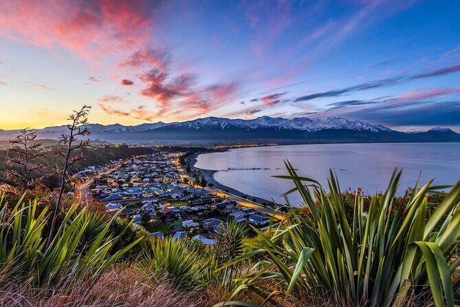 Kaikoura Private Whale Watching Day Trip from Christchurch - Who Is This Tour Best For?
