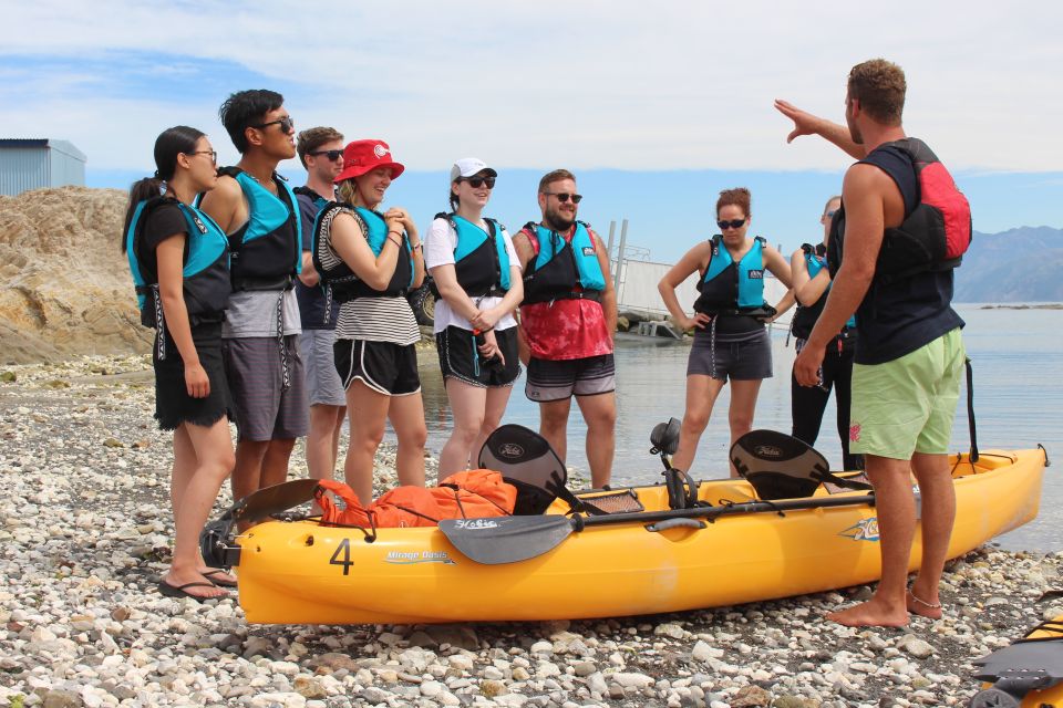Kaikoura: Seal-Watching Pedal Kayak Tour - Key Points