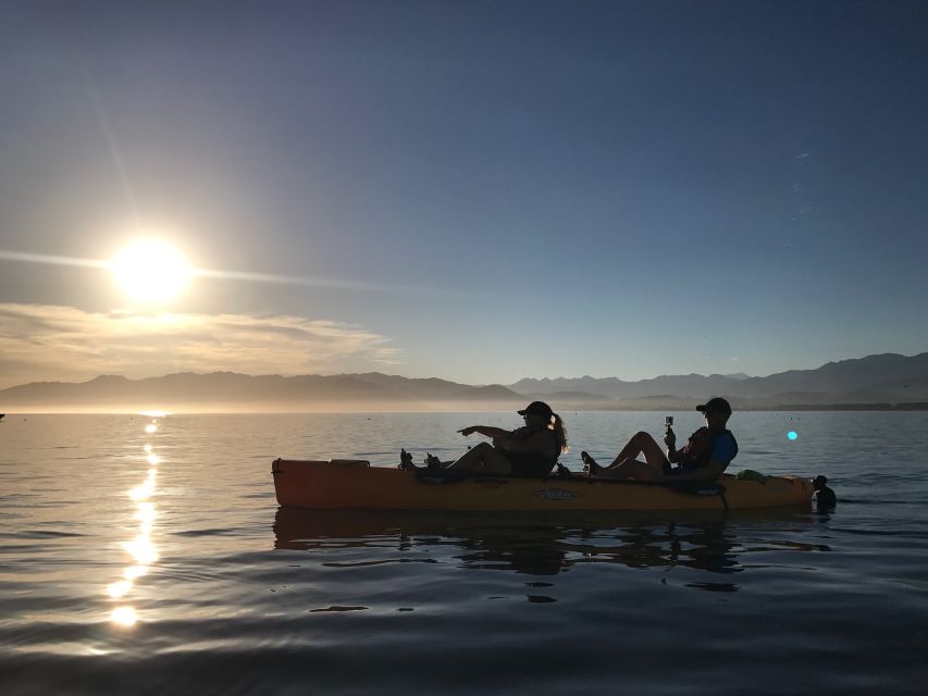 Kaikoura: Seal-Watching Pedal Kayak Tour - Pricing and Booking Details
