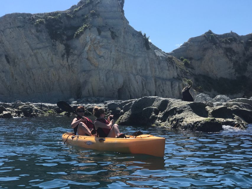 Kaikoura: Seal-Watching Pedal Kayak Tour - Activity Highlights