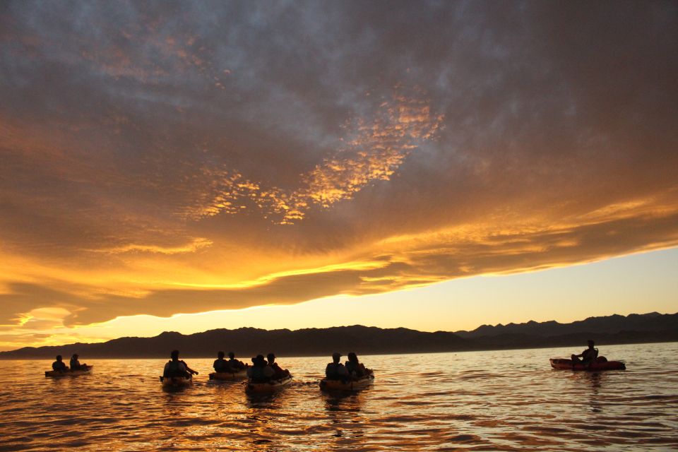 Kaikoura: Seal-Watching Pedal Kayak Tour - Full Tour Description