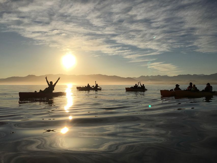 Kaikoura: Seal-Watching Pedal Kayak Tour - Inclusions Provided