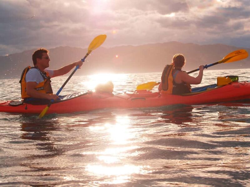 Kaikoura: Sunset Evening Kayaking Tour - Key Points