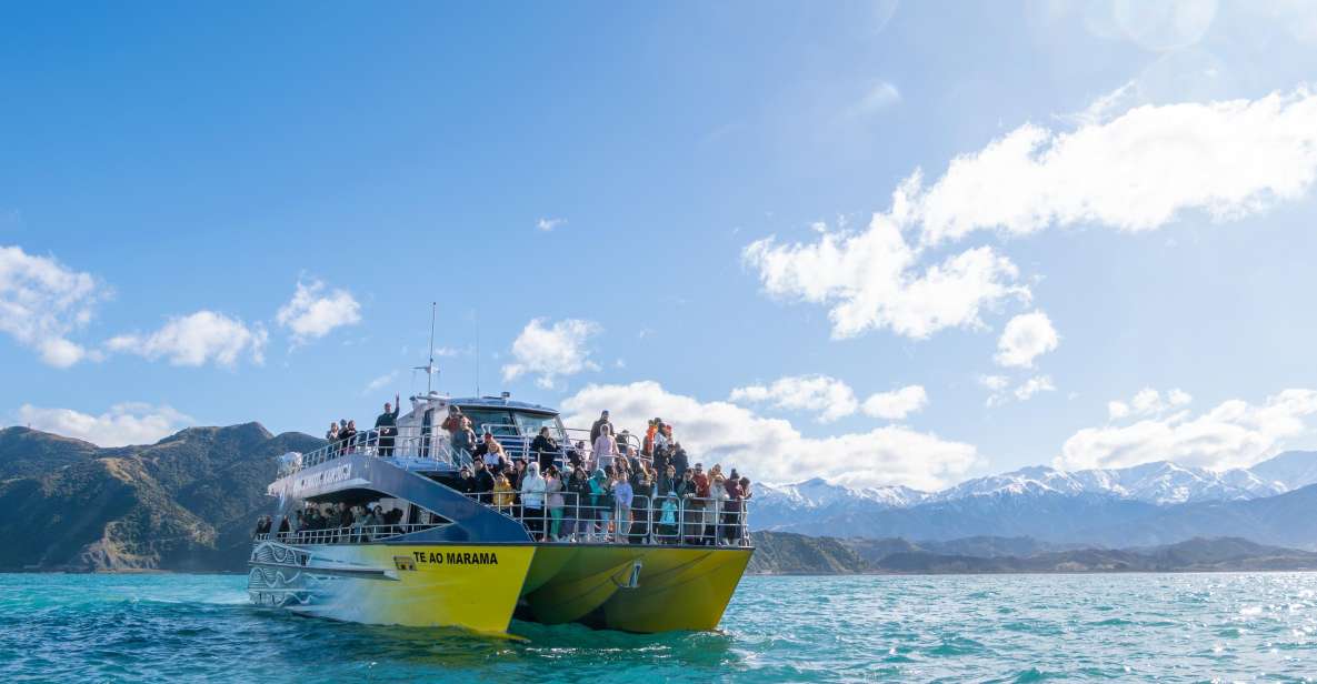 Kaikoura: Whale Watching Cruise - Important Information