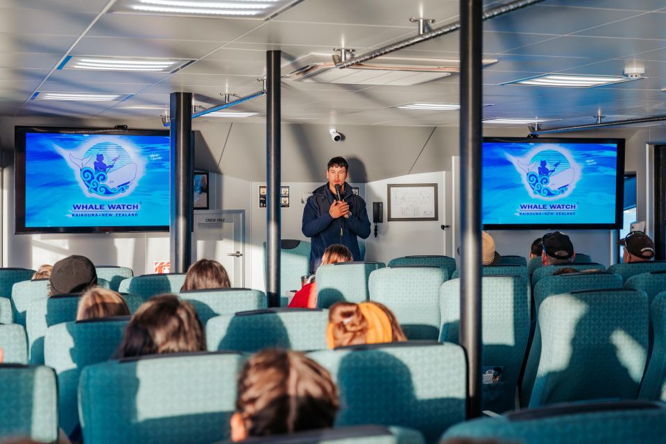 Kaikoura: Whale Watching Cruise - Inclusions