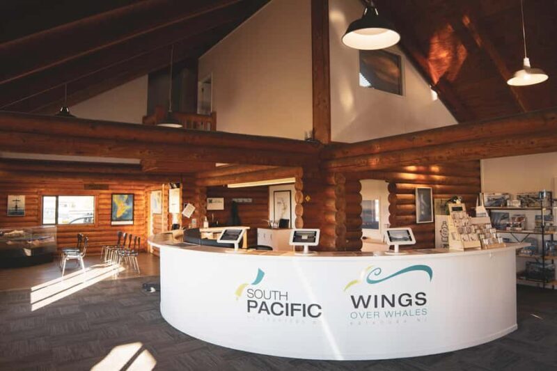 Kaikoura: Whale Watching Flight with Guided Commentary - What the Reviews Say