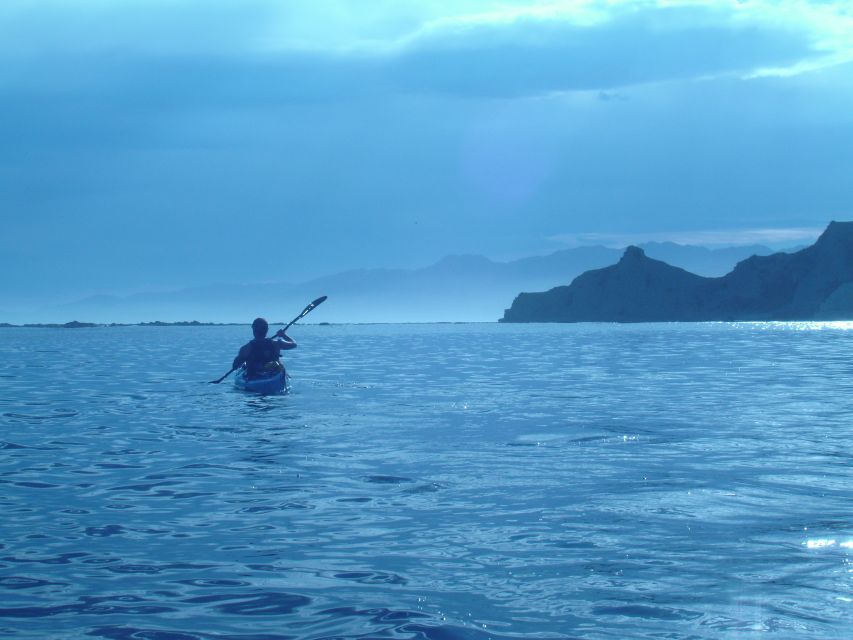 Kaikoura: Wildlife Kayaking Tour at Sunset - Key Points
