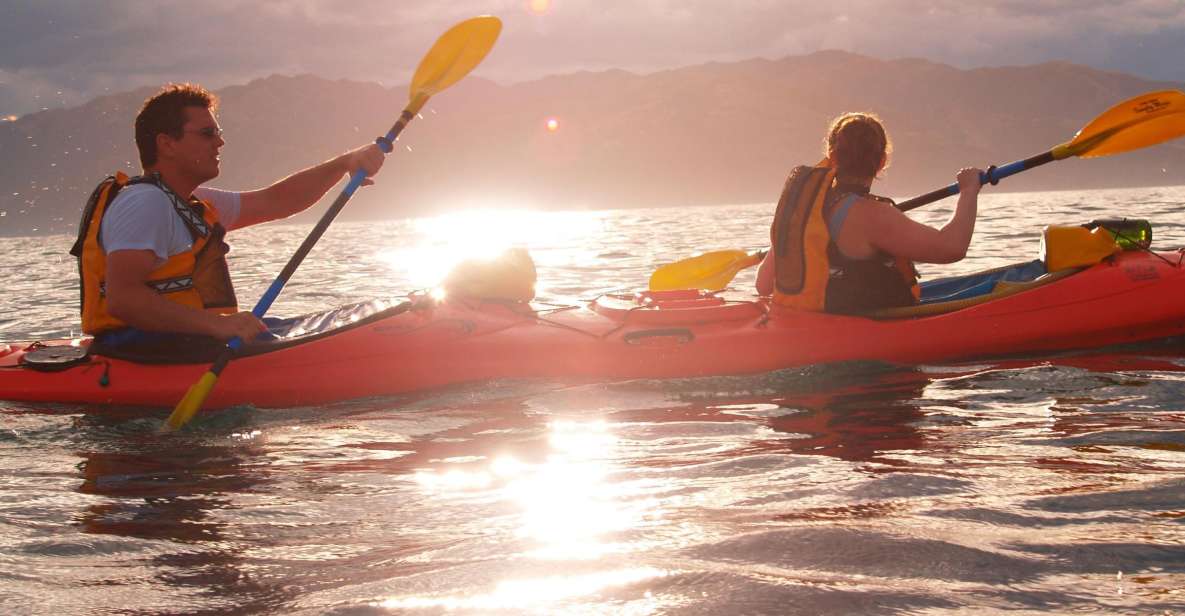 Kaikoura: Wildlife Kayaking Tour at Sunset - Booking Information