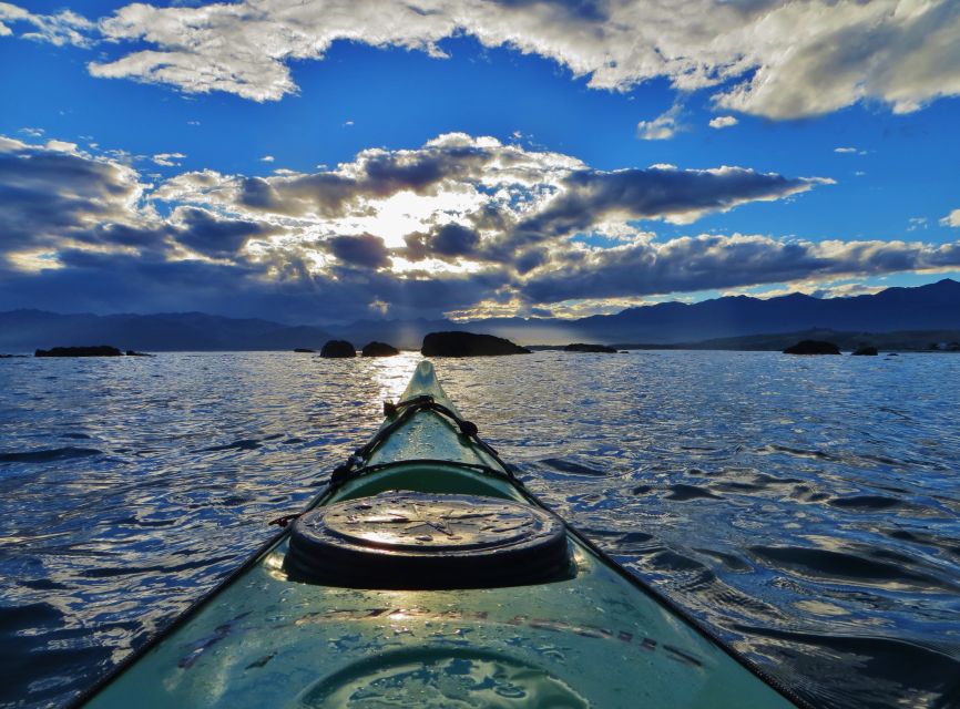 Kaikoura: Wildlife Kayaking Tour at Sunset - Customer Reviews