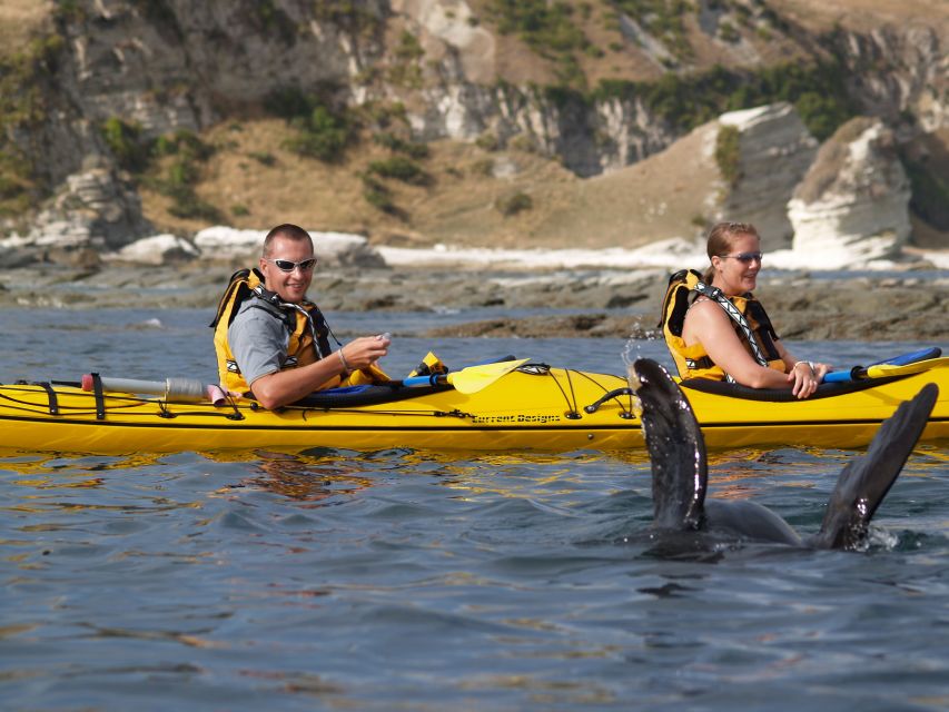 Kaikoura: Wildlife Kayaking Tour at Sunset - Sunset Kayaking Experience