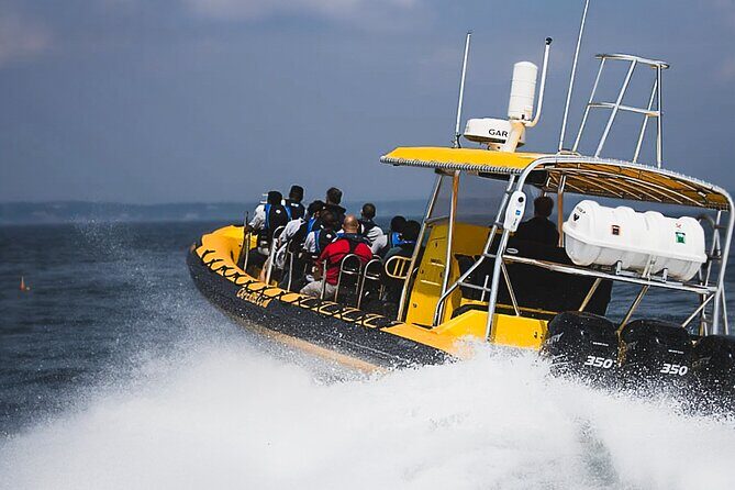 Kailua-Kona Adventure Whale Watch - The Itinerary: What to Expect