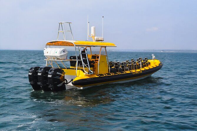 Kailua-Kona Adventure Whale Watch - Weather Considerations and Cancellation Policy