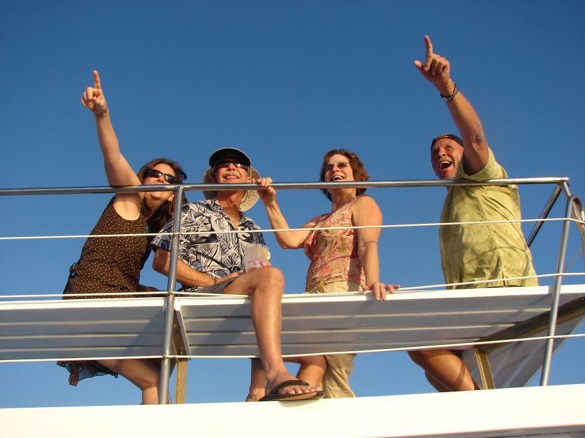 Kailua Kona: Humpback Whale Watching Adventure Cruise - Key Points