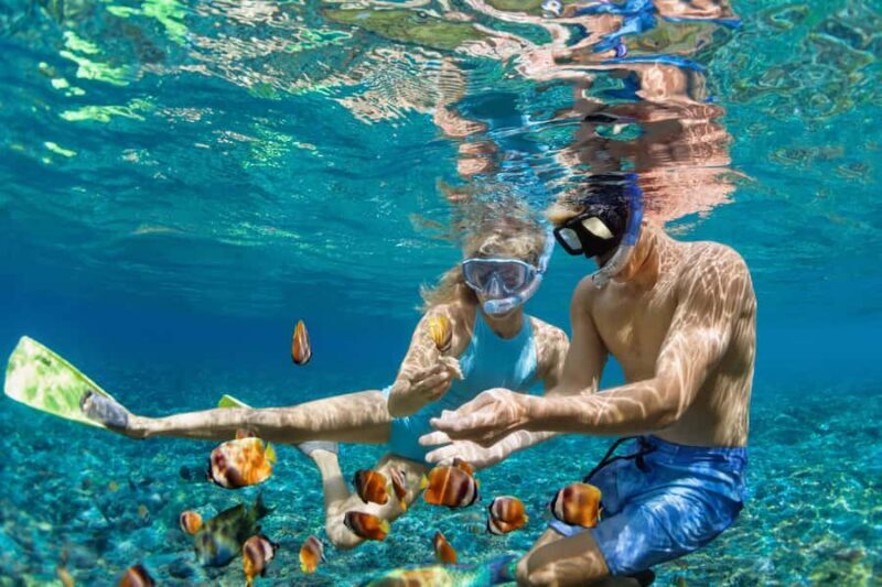 Kailua Kona: Kealakekua Bay Snorkeling Tour with Lunch - Authentic Experiences and Traveler Feedback