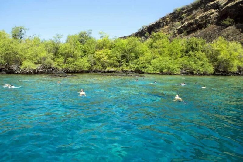 Kailua Kona: Kealakekua Bay Snorkeling Tour with Lunch - FAQ