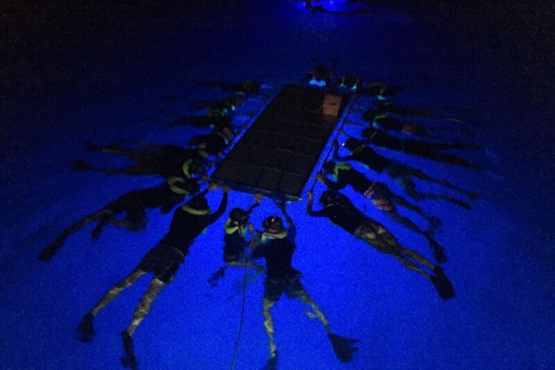 Kailua Kona: Night Manta Ray Adventure on the Big Island - The Experience in Practice: Authentic Feedback from Travelers