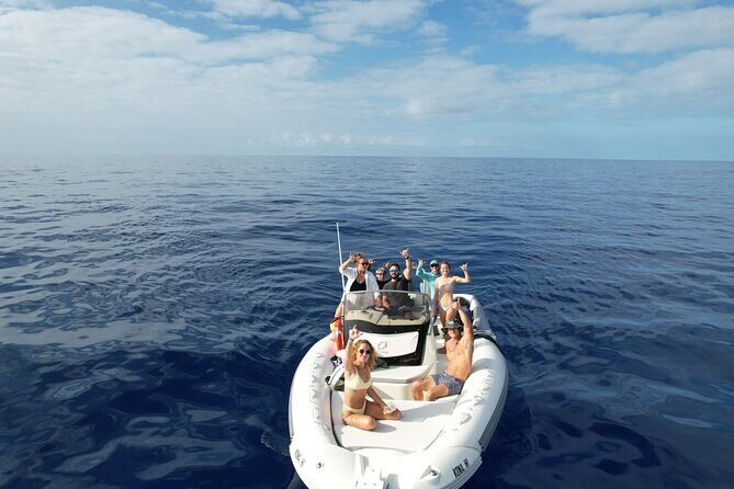 Kailua Kona Whale Watching Boat Tour Experience - What You Should Know Before Booking