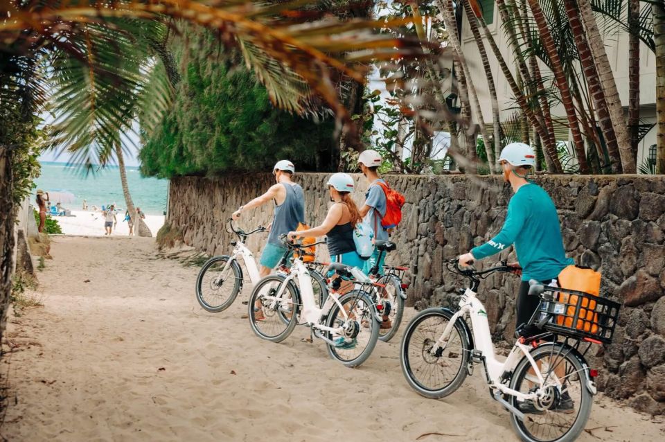 Kailua, Oahu: Guided E-Bike & Kayak Tour to Mokulua Islands - Encountering Wildlife