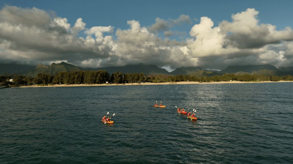 Kailua, Oahu: Popoia Island & Kailua Bay Guided Kayak Tour - Spotting Wildlife and Relaxing at the Beach