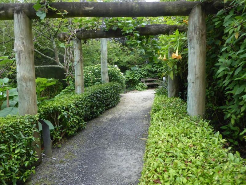 Kaipara Coast Sculpture Gardens Entry Ticket - An In-Depth Look at the Experience