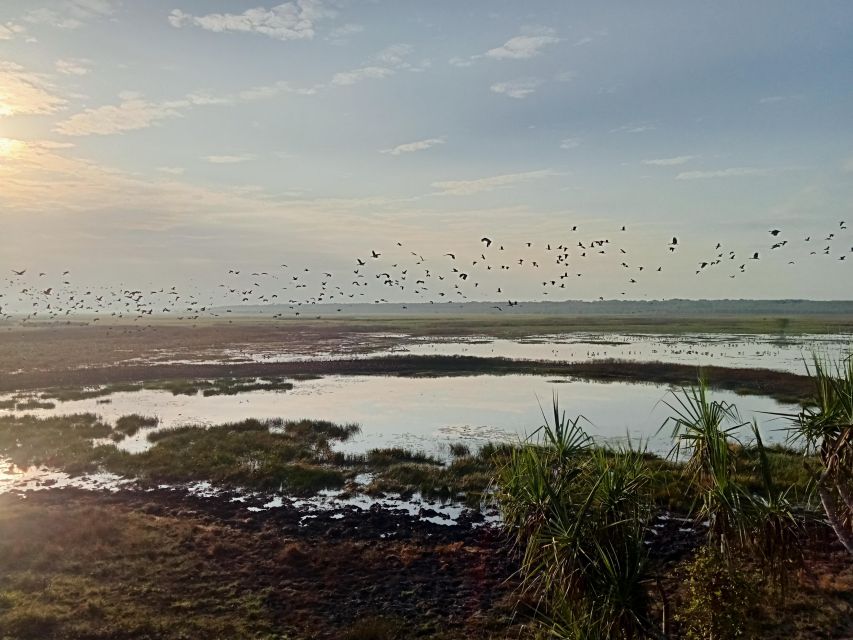 Kakadu-2 Day Tour. the Best Itinerary. - Booking Information