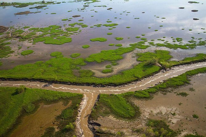 Kakadu, Adelaide & Mary River Scenic Flight - What Travelers Say