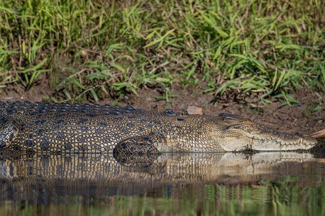 Kakadu National Park Evening Tour + Yellow Water Sunset Cruise - An Overview of the Tour