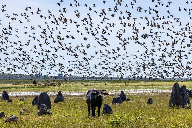 Kakadu National Park Evening Tour + Yellow Water Sunset Cruise - Final Thoughts