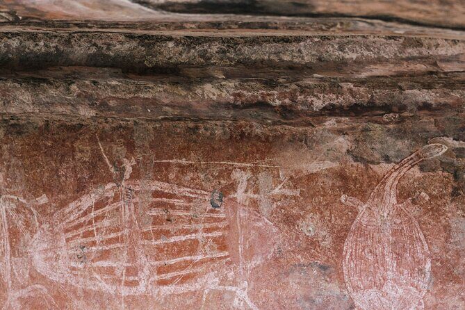 Kakadu National Park Full Day Tour + 2 Hour Cultural River Cruise - An In-Depth Look at the Kakadu Tour Experience