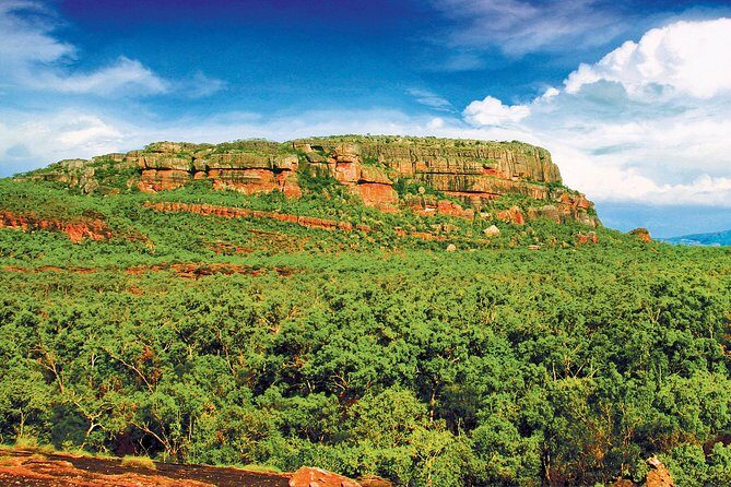 Kakadu, Nourlangie and Yellow Waters Tour from Darwin - The Experience in Detail