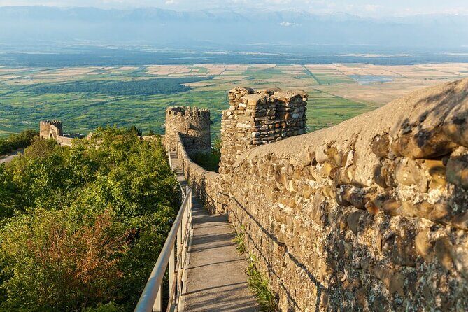 Kakheti Private Tour with Wine Tasting from Tbilisi - Who Should Consider This Tour?