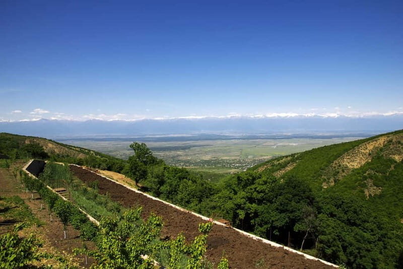 Kakheti & Sighnaghi Private Guided Day Trip with Wine - The Itinerary: A Detailed Breakdown 