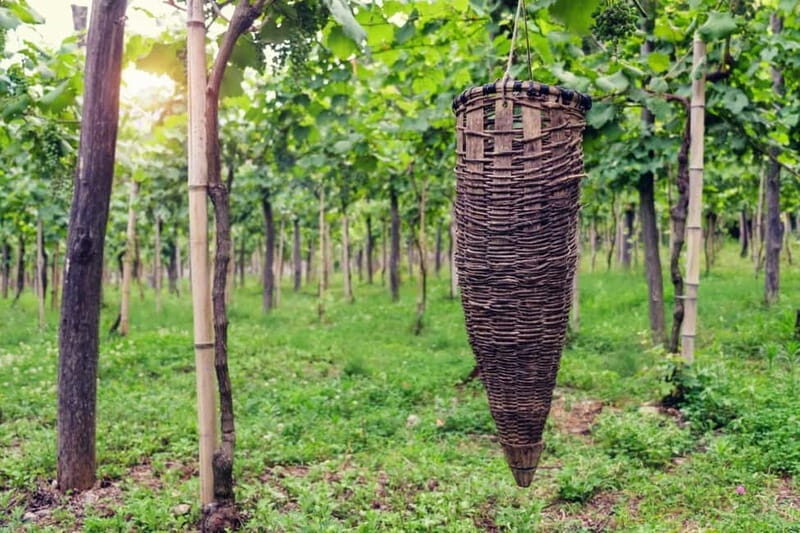 Kakheti Wine Tour - Explore the Art of Kvevri Winemaking - The Drive Back — Reflecting on a Day Well Spent