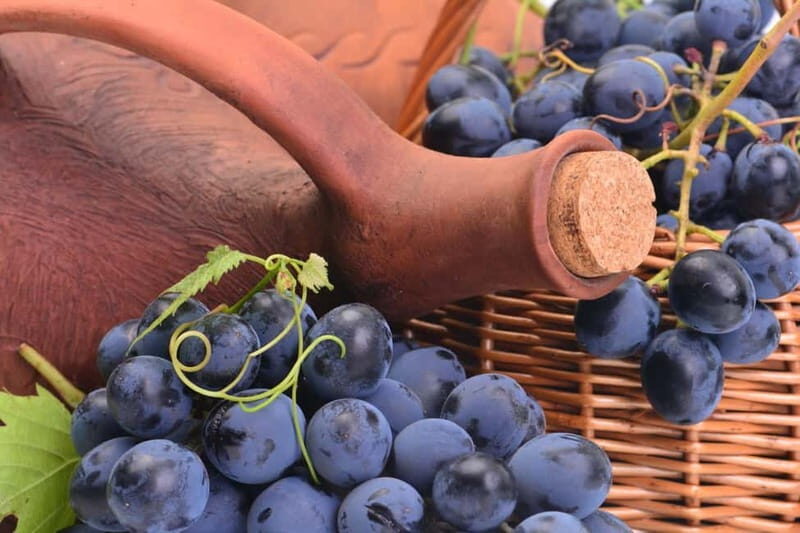 Kakheti Wine Tour - Explore the Art of Kvevri Winemaking - FAQ