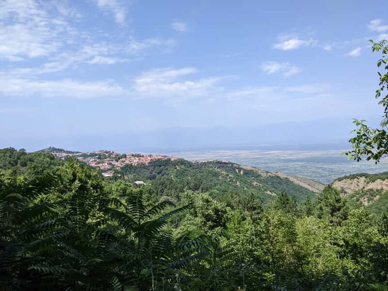 Kakheti: Wine tour from Tbilisi - Enjoy 6 sorts of wine - Key Points