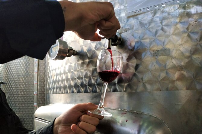 Kakheti Wine Tour With 20+ Wine Tastings & Qvevri Masterclass - Convenient Pickup and Transportation Options