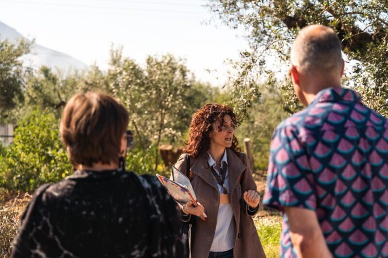 Kalamata, Greece: Organic Olive Grove Tour-Olive oil tasting - Final Thoughts